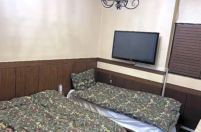 Park House Dongmyo 2* ソウル特別市